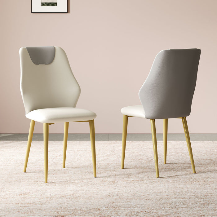 Dining Chairs (Set of 2) - Beige / Gray